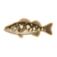 Calico Bass